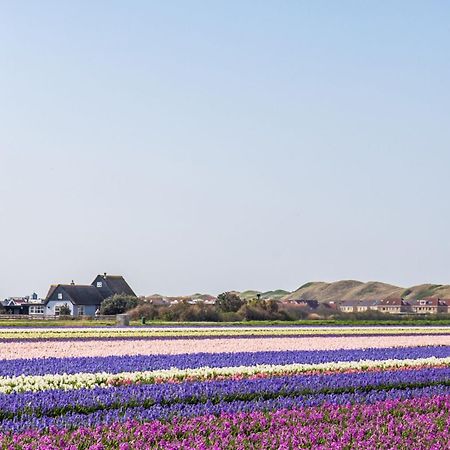 Vakantiehuis Nordseezauber - Callantsoog Aan Zee Dış mekan fotoğraf